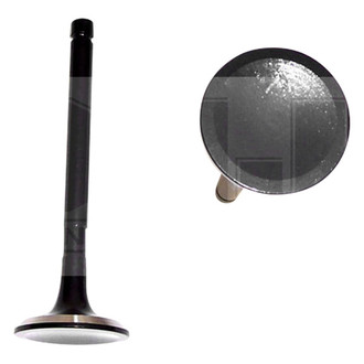 DNJ Engine Components® - Exhaust Valve