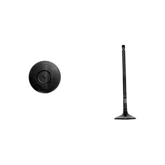 DNJ Engine Components® - Exhaust Valve