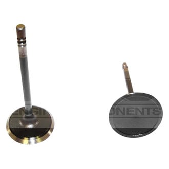 DNJ Engine Components® - Intake Valve