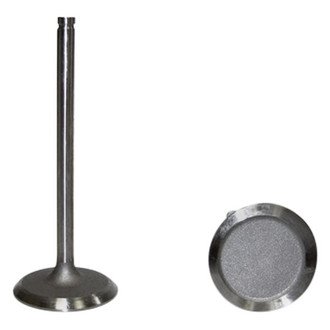 DNJ Engine Components® - Intake Valve