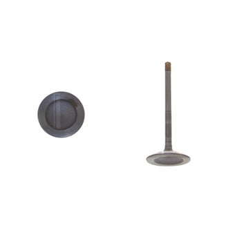 DNJ Engine Components® - Intake Valve