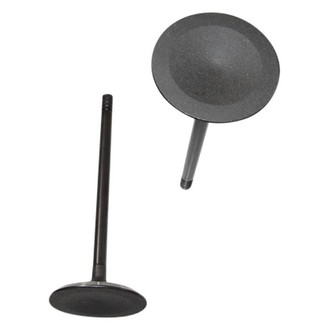 DNJ Engine Components® - Intake Valve
