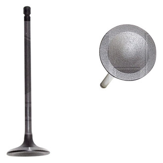 DNJ Engine Components® - Intake Valve