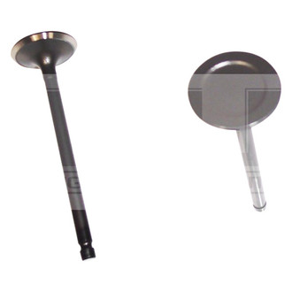 DNJ Engine Components® - Intake Valve