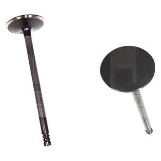 DNJ Engine Components® - Intake Valve