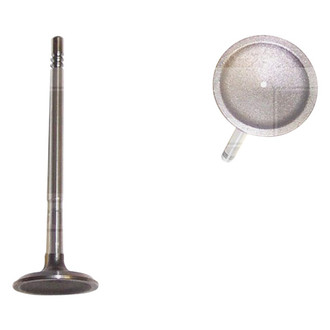 DNJ Engine Components® - Intake Valve