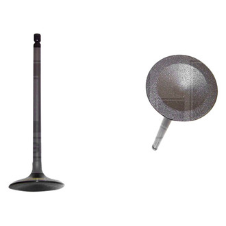DNJ Engine Components® - Intake Valve
