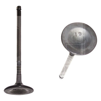 DNJ Engine Components® - Intake Valve