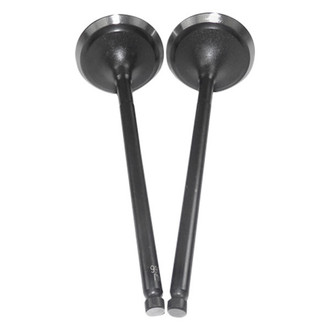 DNJ Engine Components® - Intake Valve