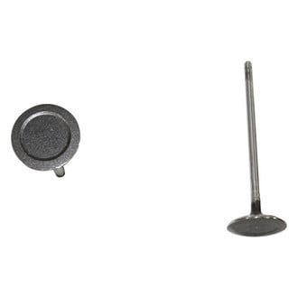 DNJ Engine Components® - Intake Valve