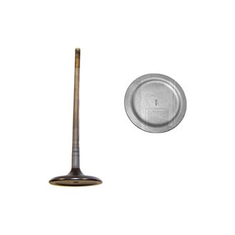 DNJ Engine Components® - Intake Valve