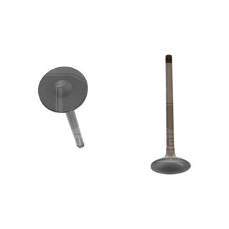 DNJ Engine Components® - Intake Valve