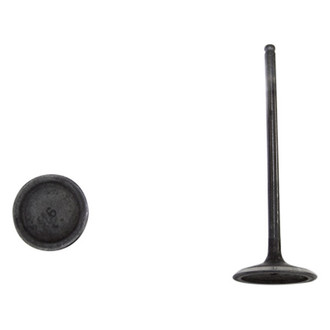 DNJ Engine Components® - Intake Valve