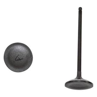 DNJ Engine Components® - Intake Valve