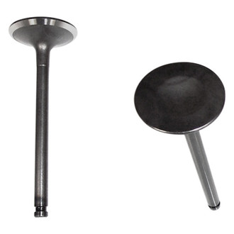 DNJ Engine Components® - Intake Valve