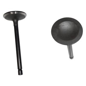 DNJ Engine Components® - Intake Valve