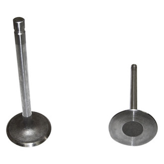 DNJ Engine Components® - Intake Valve