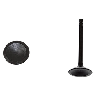 DNJ Engine Components® - Intake Valve