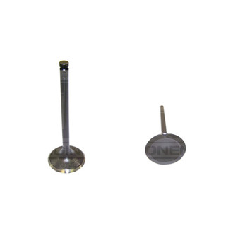 DNJ Engine Components® - Intake Valve