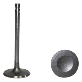 DNJ Engine Components® - Intake Valve