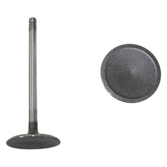 DNJ Engine Components® - Intake Valve