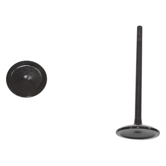 DNJ Engine Components® - Intake Valve