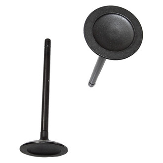 DNJ Engine Components® - Intake Valve