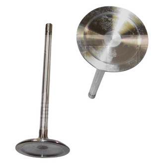 DNJ Engine Components® - Intake Valve