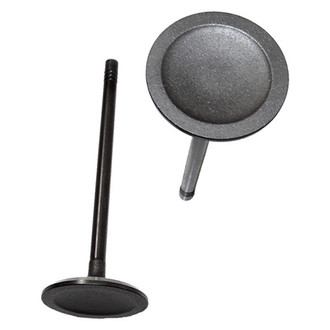 DNJ Engine Components® - Intake Valve