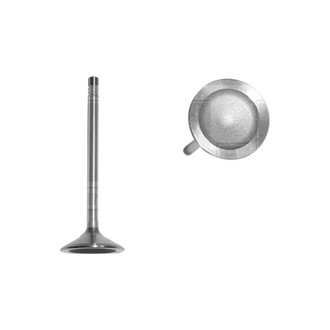 DNJ Engine Components® - Intake Valve