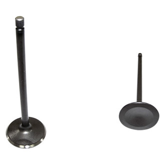 DNJ Engine Components® - Intake Valve