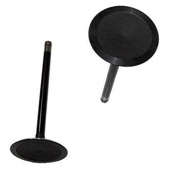 DNJ Engine Components® - Intake Valve