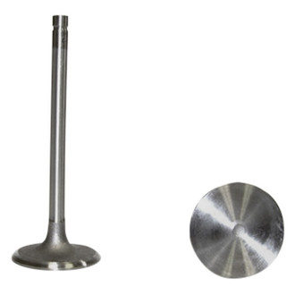 DNJ Engine Components® - Intake Valve