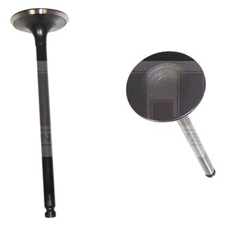 DNJ Engine Components® - Intake Valve