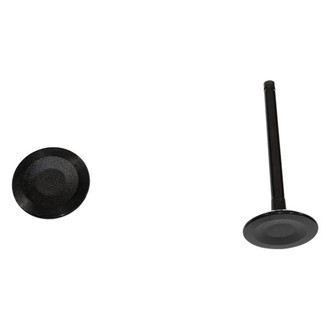 DNJ Engine Components® - Intake Valve