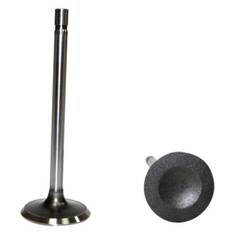 DNJ Engine Components® - Intake Valve