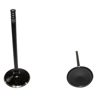 DNJ Engine Components® - Intake Valve