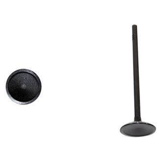DNJ Engine Components® - Intake Valve