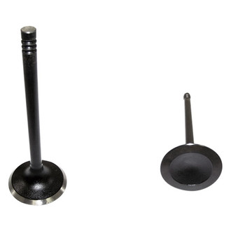 DNJ Engine Components® - Intake Valve