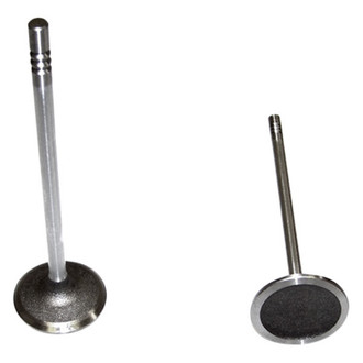 DNJ Engine Components® - Intake Valve