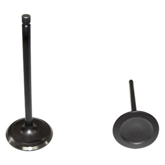 DNJ Engine Components® - Intake Valve