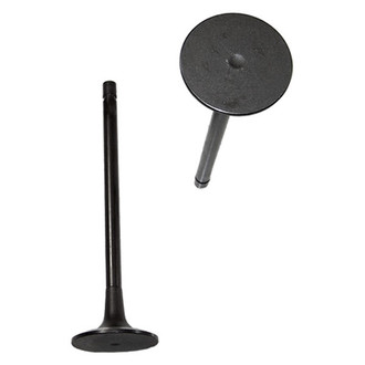 DNJ Engine Components® - Intake Valve