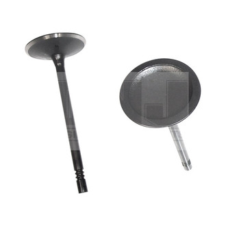 DNJ Engine Components® - Intake Valve