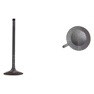 DNJ Engine Components® - Intake Valve