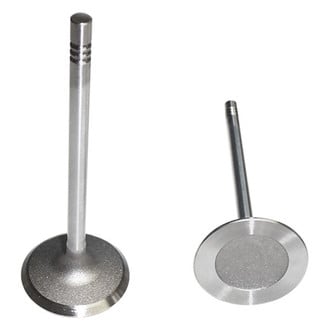 DNJ Engine Components® - Intake Valve