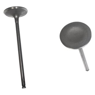 DNJ Engine Components® - Intake Valve