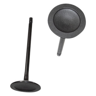 DNJ Engine Components® - Intake Valve