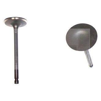 DNJ Engine Components® - Intake Valve