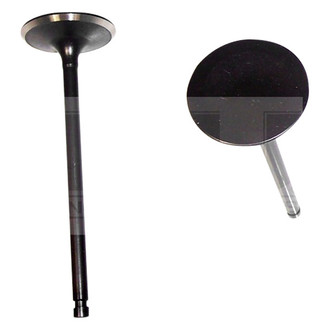DNJ Engine Components® - Intake Valve