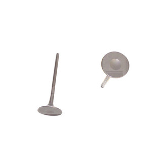 DNJ Engine Components® - Intake Valve